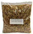Tenébrios a Vácuo - 500g